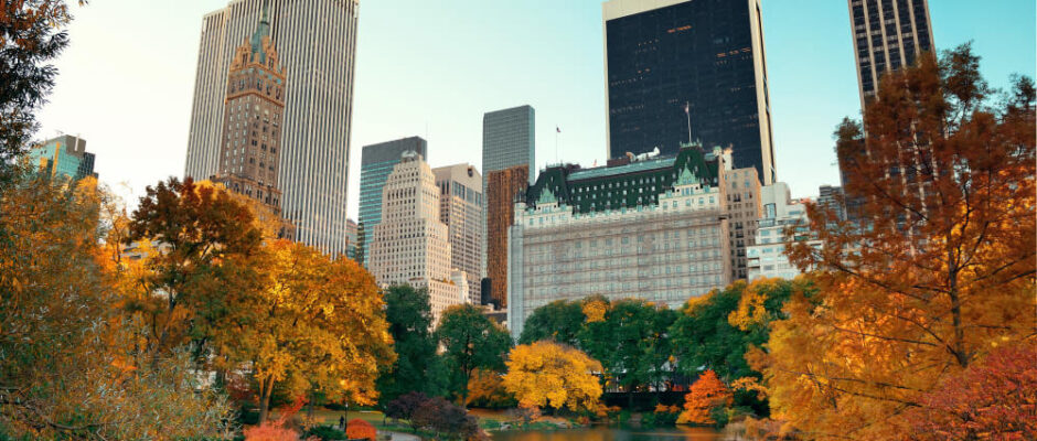 Central Park in autumn with New York City skyline.