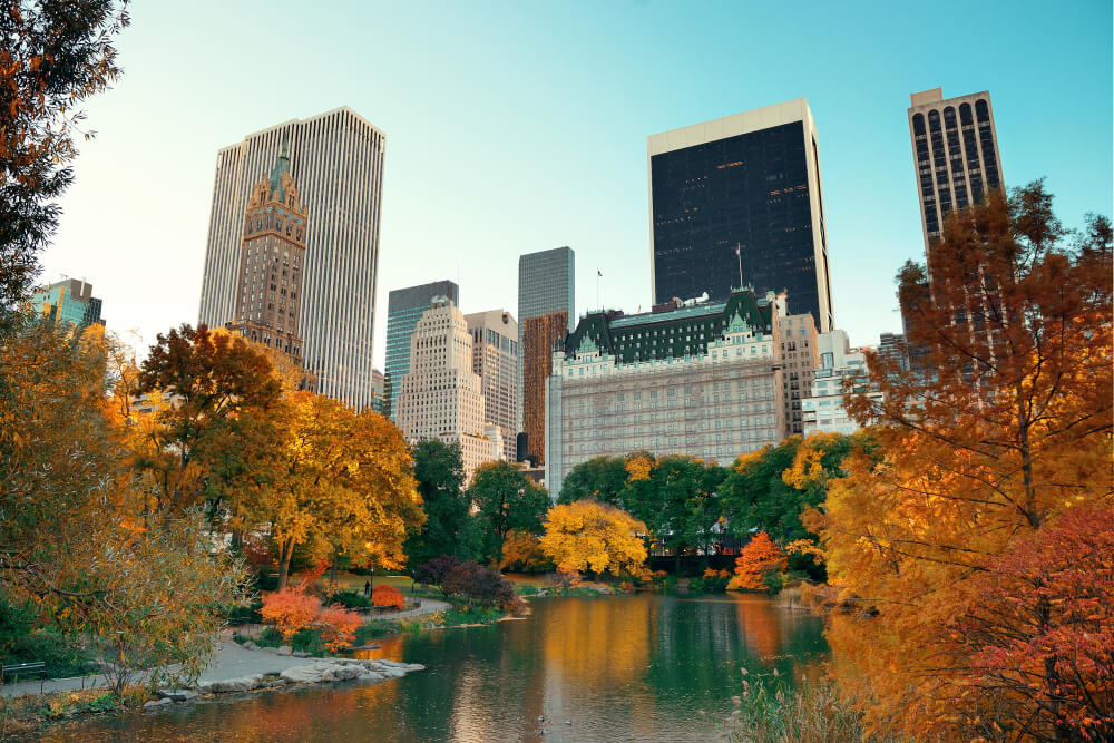 Central Park in autumn with New York City skyline.