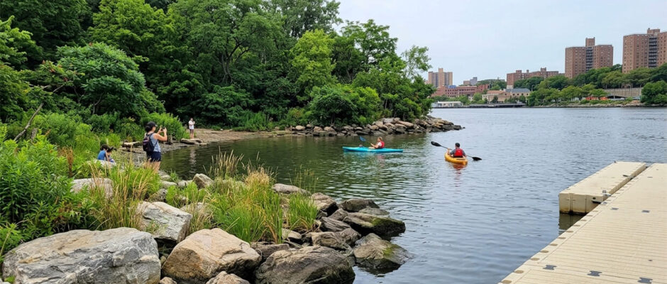 People kayaking on a river near a green city park.