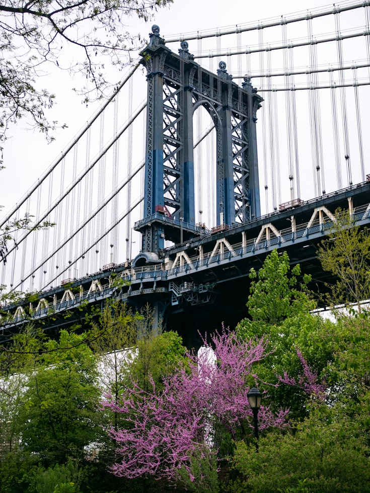 occasions-pier6-brooklyn-bridge-park-secret-garden